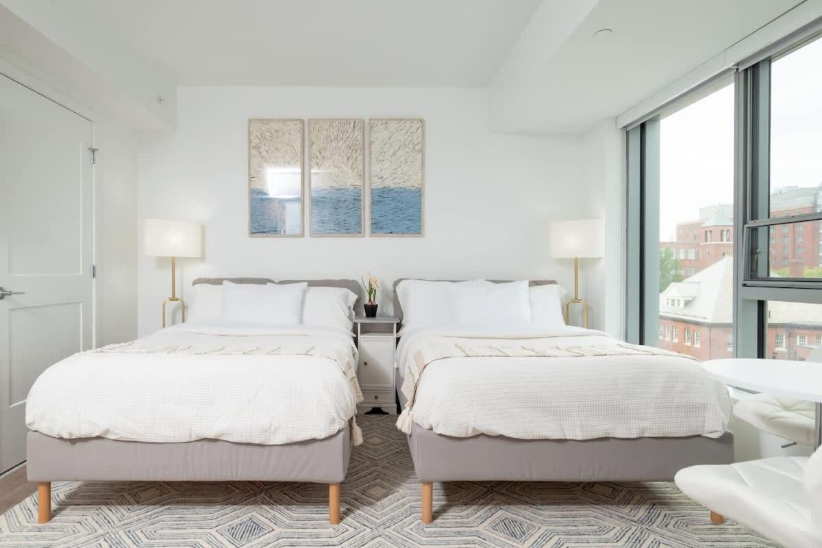 Lux 2xqueen Beds Gym Near Mit Harvard Apartment *